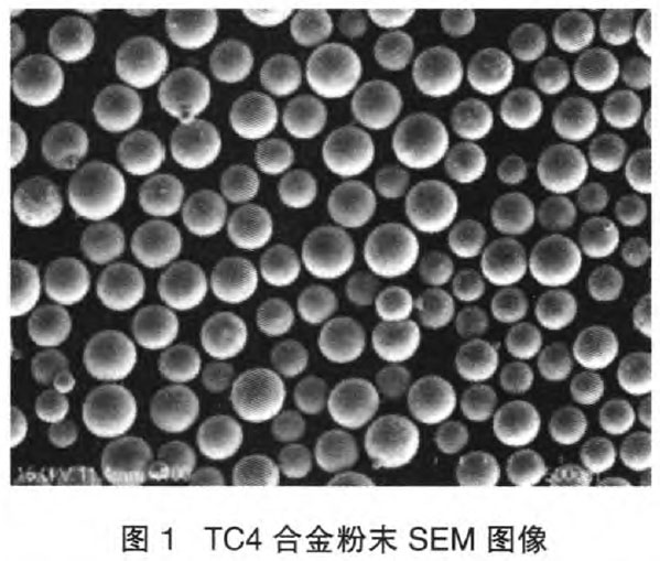 1668849311540644.jpg s1.jpg