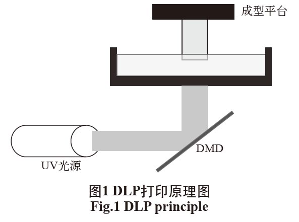 1675220263192567.jpg t1.jpg